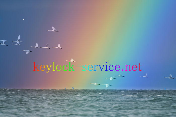 滋賀県長浜市、湖上の虹を背に舞うコハクチョウ　滋賀県全域、カギと錠前専門。真の地元鍵屋「キーロックしが.NET」